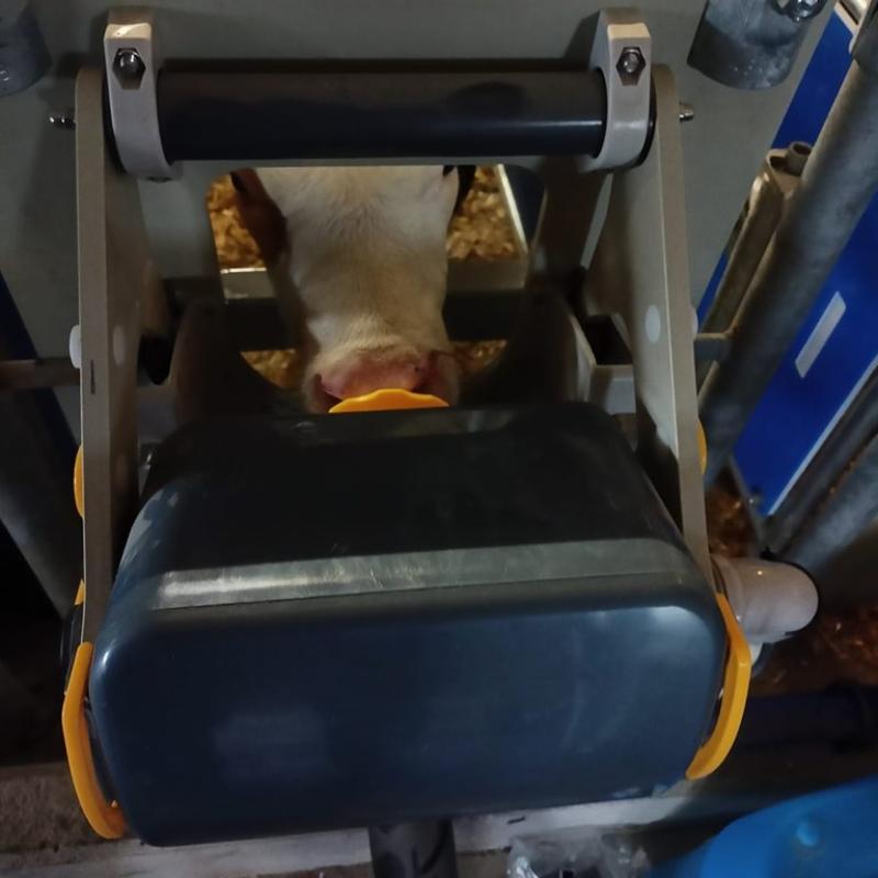 342806573 1887683088276485 7149186942400293586 N