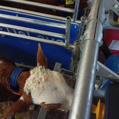 342813464 1610984239326267 6634735586767735205 N