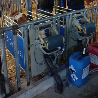 342847916 228076503233392 7796929254123234503 N