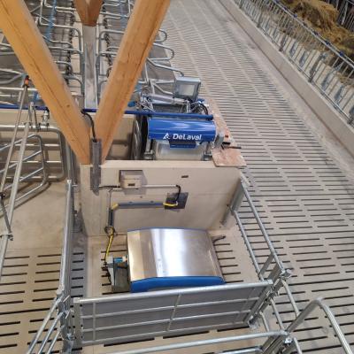 Whatsapp Image 2023 02 16 At 16.29.07