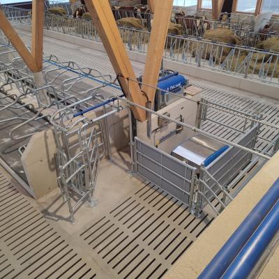 Whatsapp Image 2023 02 16 At 16.29.08 4