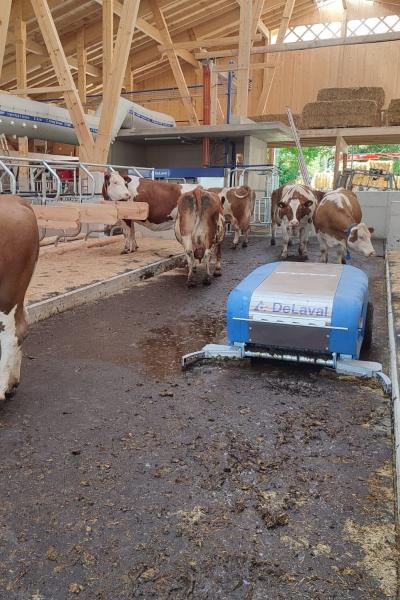 298265680 569971884553762 5445930830322963474 N