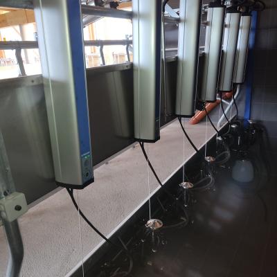 Whatsapp Image 2023 08 02 At 15.04.07