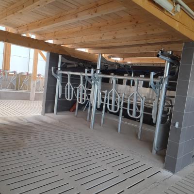 Whatsapp Image 2023 08 02 At 15.04.19