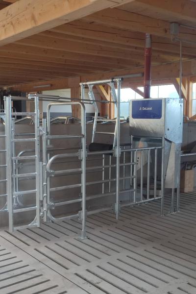 Whatsapp Image 2023 08 02 At 15.05.12